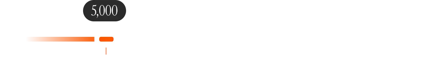 Saino